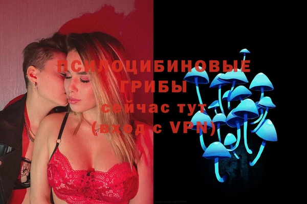дмт Абдулино