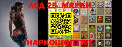 ПСИЛОЦИБИНОВЫЕ ГРИБЫ Краснокаменск