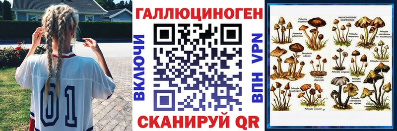 Галлюциногенные грибы Psilocybine cubensis Карачаевск