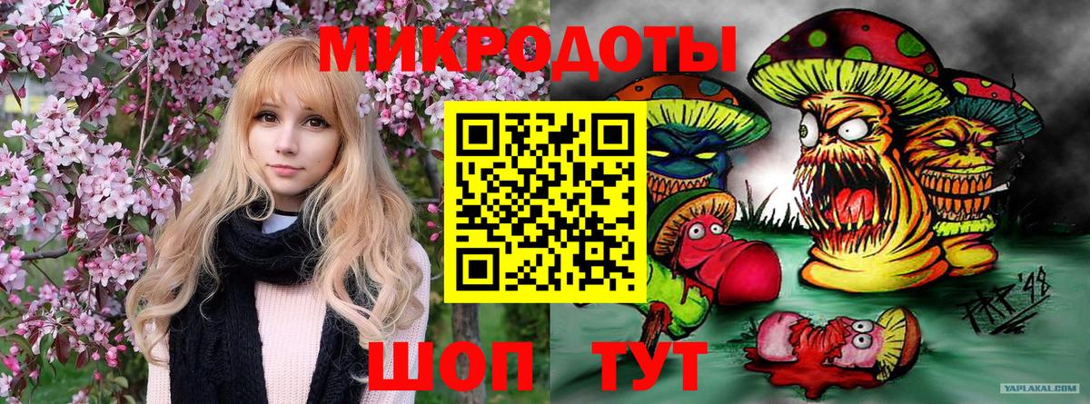 Псилоцибиновые грибы Cubensis Карачаевск